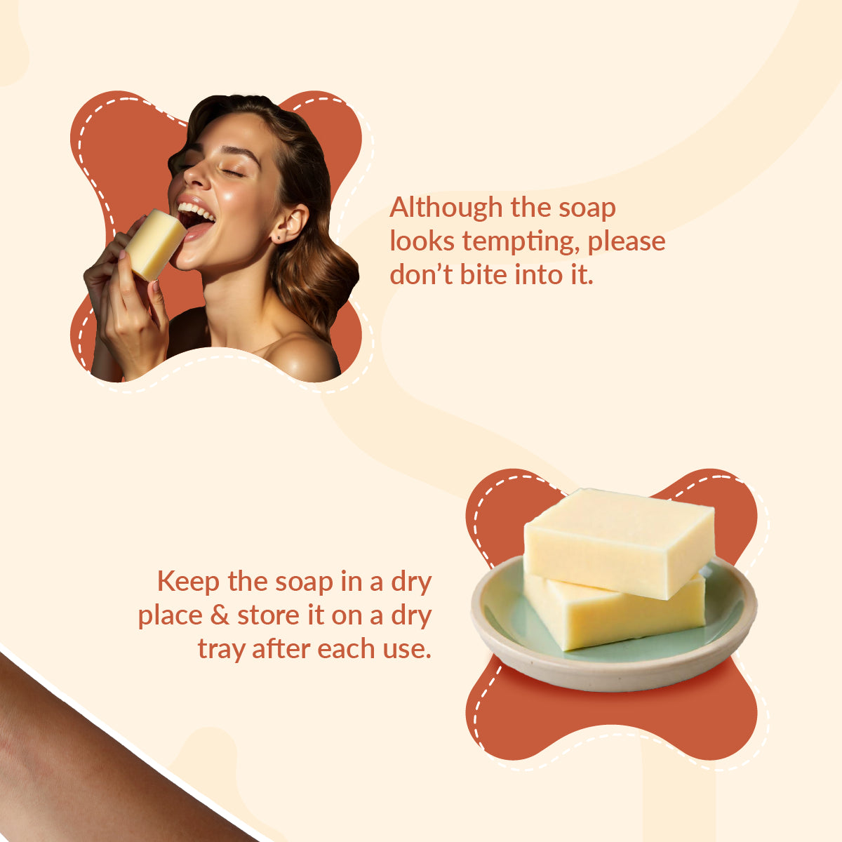 Carrot Soap for Brighter Skin | Sun Kissed Radiance